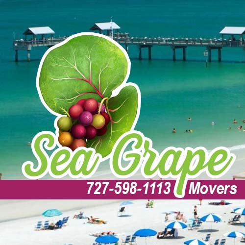 Mover Services Clearwater Mover Services