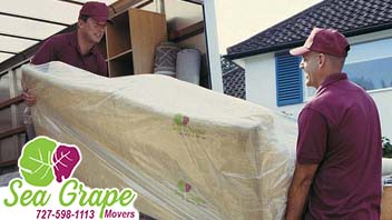 movers clearwater movers st pete movers