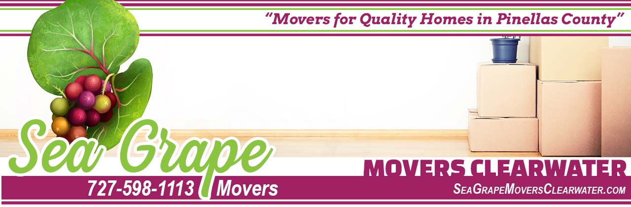 mover services clearwater mover services st pete mover services